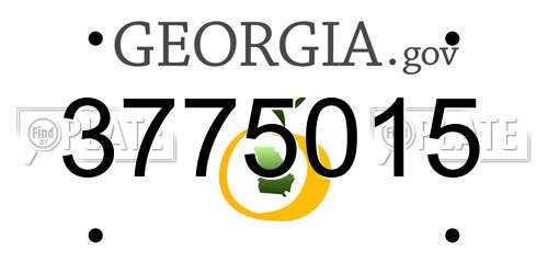 3775015 Georgia License Plate