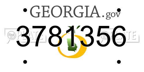 3781356 Georgia License Plate