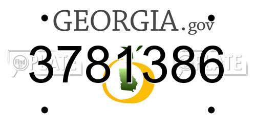 3781386 Georgia License Plate