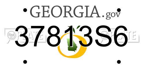 37813S6 Georgia License Plate