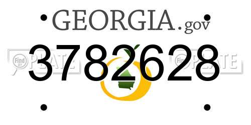 3782628 Georgia License Plate