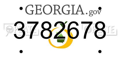 3782678 Georgia License Plate