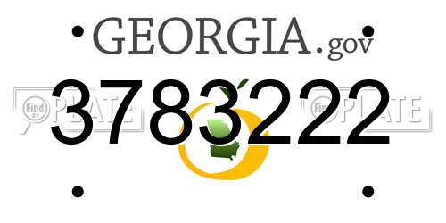 3783222 Georgia License Plate