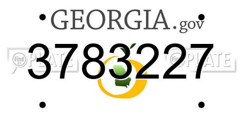 3783227 Georgia License Plate