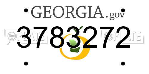 3783272 Georgia License Plate