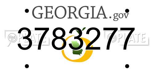 3783277 Georgia License Plate