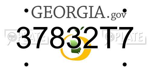 37832T7 Georgia License Plate
