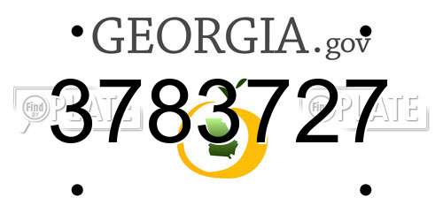 3783727 Georgia License Plate