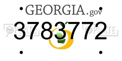 3783772 Georgia License Plate