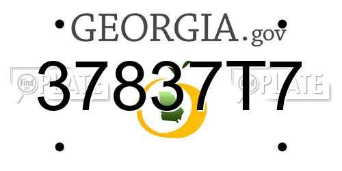 37837T7 Georgia License Plate