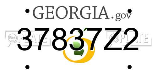 37837Z2 Georgia License Plate