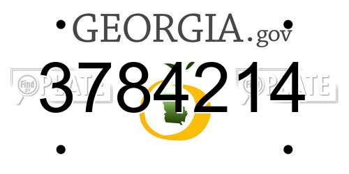 3784214 Georgia License Plate