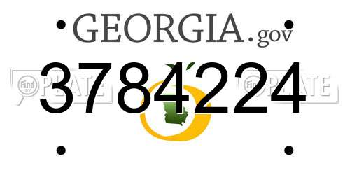 3784224 Georgia License Plate