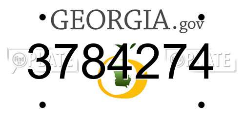 3784274 Georgia License Plate