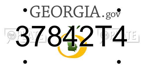 37842T4 Georgia License Plate
