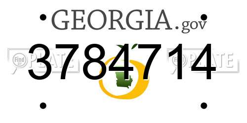 3784714 Georgia License Plate
