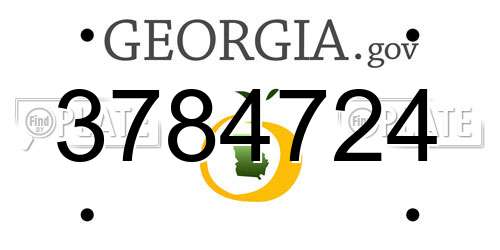 3784724 Georgia License Plate