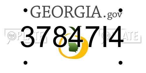 37847I4 Georgia License Plate