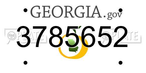 3785652 Georgia License Plate