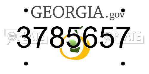 3785657 Georgia License Plate