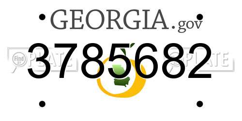 3785682 Georgia License Plate