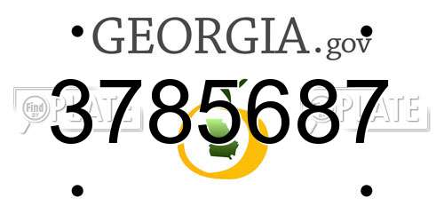 3785687 Georgia License Plate