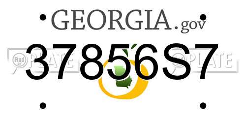 37856S7 Georgia License Plate