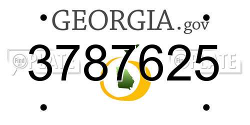 3787625 Georgia License Plate