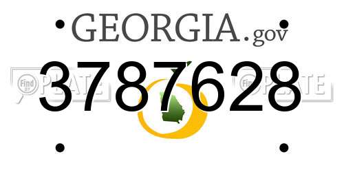 3787628 Georgia License Plate