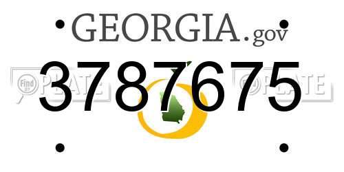 3787675 Georgia License Plate