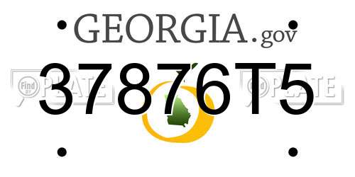 37876T5 Georgia License Plate