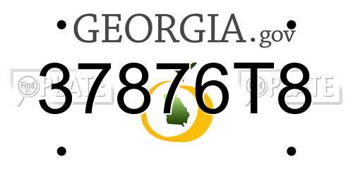 37876T8 Georgia License Plate