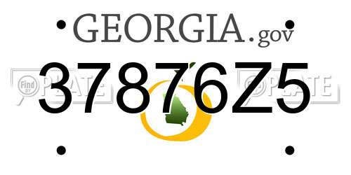 37876Z5 Georgia License Plate