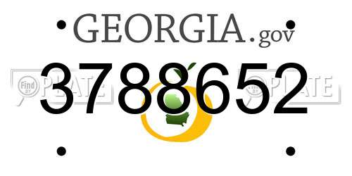 3788652 Georgia License Plate