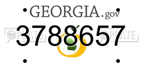 3788657 Georgia License Plate