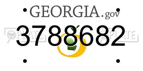 3788682 Georgia License Plate