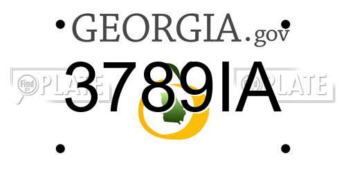 3789IA Georgia License Plate