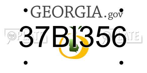 37BI356 Georgia License Plate