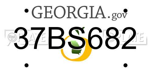 37BS682 Georgia License Plate