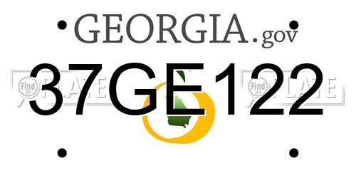 37GE122 Georgia License Plate
