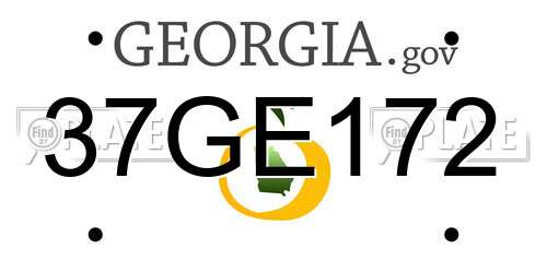 37GE172 Georgia License Plate