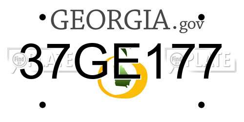 37GE177 Georgia License Plate