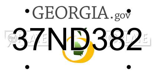 37ND382 Georgia License Plate