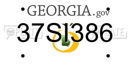 37SI386 Georgia License Plate