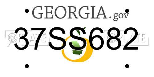 37SS682 Georgia License Plate