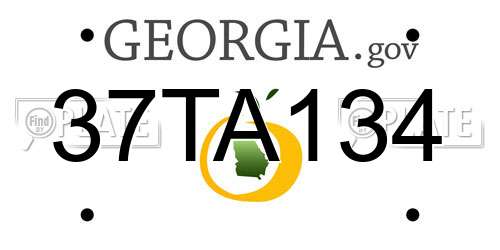 37TA134 Georgia License Plate