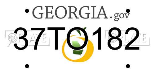 37TO182 Georgia License Plate