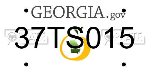 37TS015 Georgia License Plate