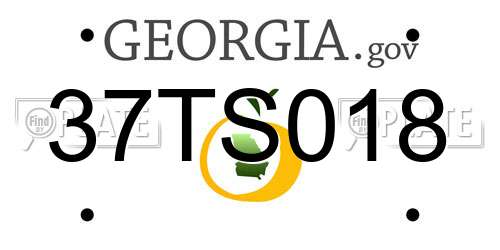 37TS018 Georgia License Plate