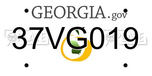 37VG019 Georgia License Plate